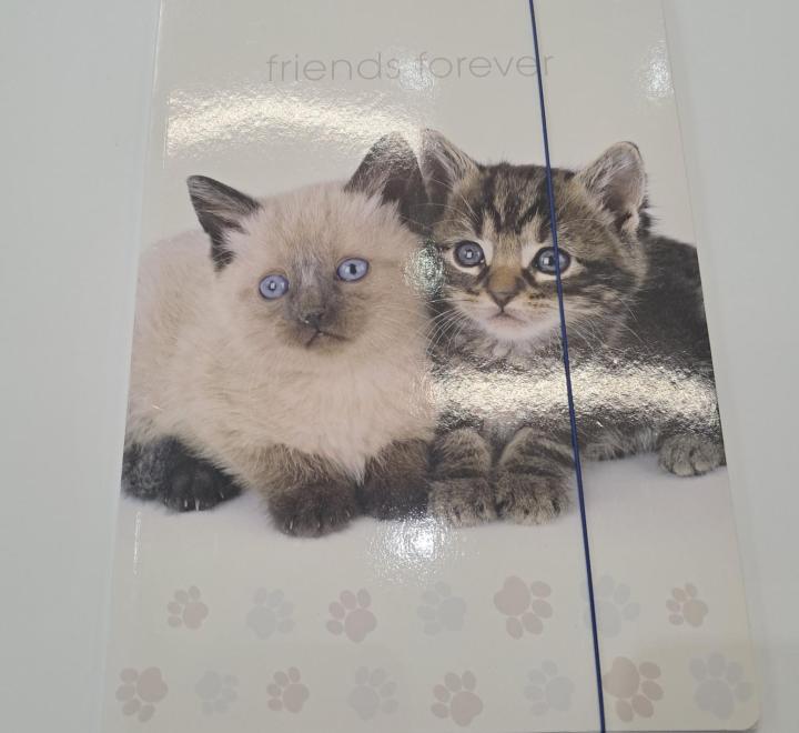 Irattartó mappa A4 karton