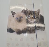 Irattartó mappa A4 karton