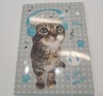 Irattartó mappa A4 karton