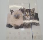 Irattartó mappa A4 karton