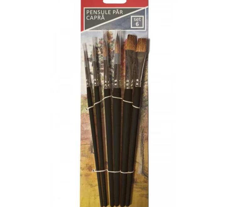 Ecset szett 6 darab,kecske szőrből