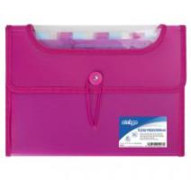 Dosar extensibil A4 cu 12 compartimente, roz
