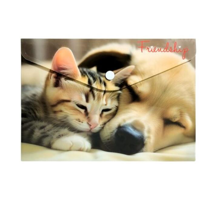 Személyre szabott mappa gombbal A5 PP