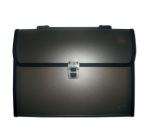 Műanyag mappa 12 részes Daco