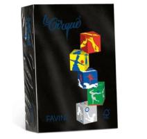 Carton A4 160g/mp color negru