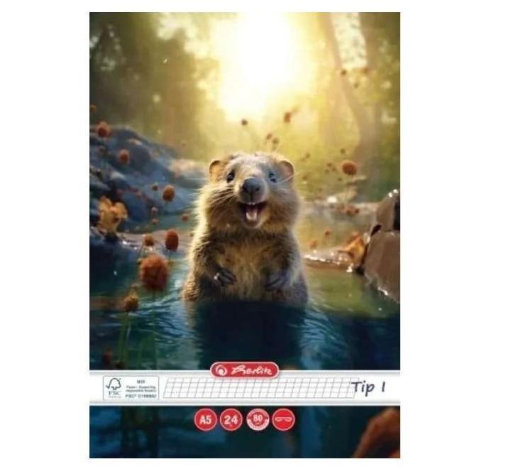 Füzet Tip I. A5 24 lap