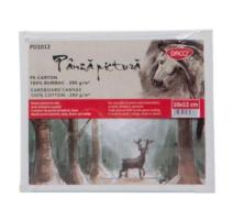 Panza pictura pe carton 10x12 Daco