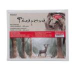 Kartonra feszített vászon 10x12 Daco