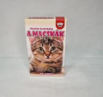 Memória kártya - Macskak