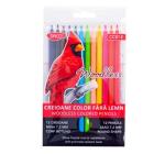 Creion color 12 fara lemn Daco CC812