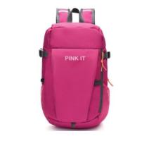 Ghiozdan gimnaziu Pigna 2 fermoare