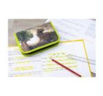 Tolltartó felszerelt 42 darabos Dinozauri