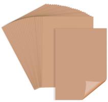 Hartie A4 80g color pastel sepia