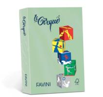 Carton A4 160g/mp color intens verde deschis