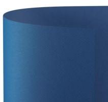 Carton Prisma Favini 220g 50x70 albastru inchis