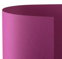 Carton Prisma Favini 220g 50x70 ciclam