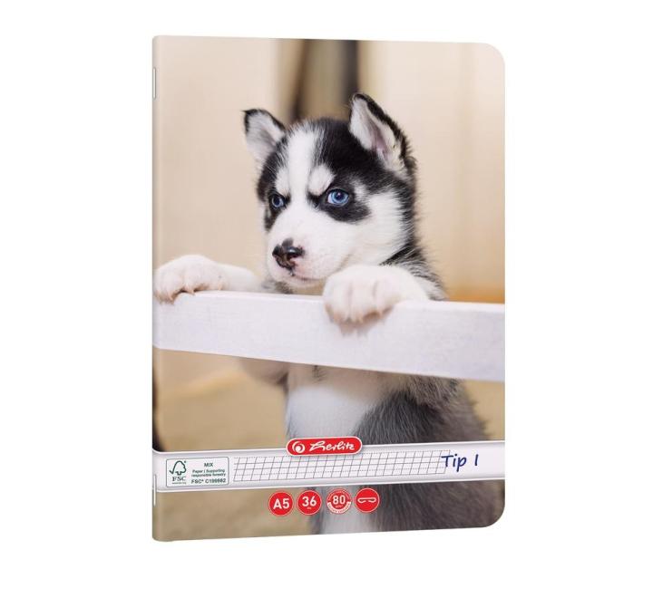 Füzet Tip I. A5 24 lap