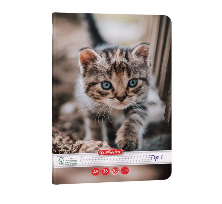 Füzet Tip I. A5 24 lap