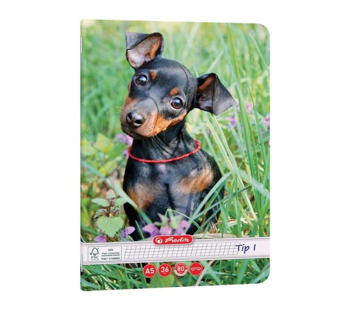 Füzet Tip I. A5 24 lap