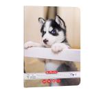 Füzet Tip I. A5 24 lap