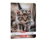 Füzet Tip I. A5 24 lap