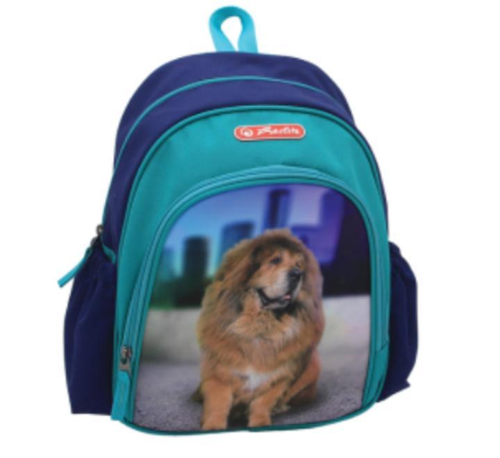 Rucsac Cool 31x20x12 cm, motiv Boss Phantom