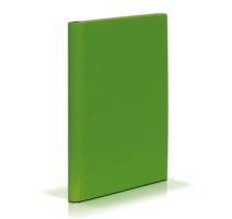 Mapa carton plastifiat cu arici 30mm verde