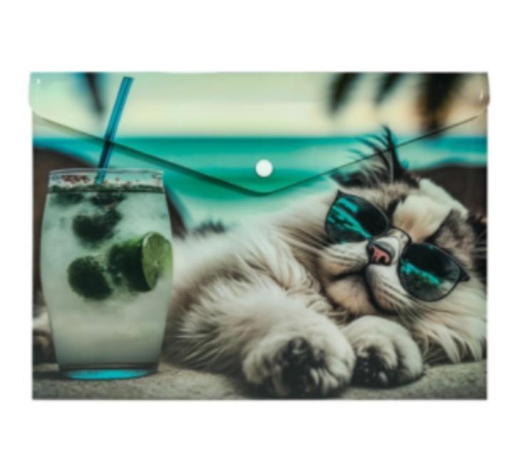 Személyre szabott mappa gombbal A4 PP Cat