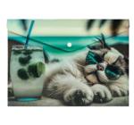 Személyre szabott mappa gombbal A4 PP Cat