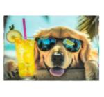 Személyre szabott mappa gombbal A4 PP Dog