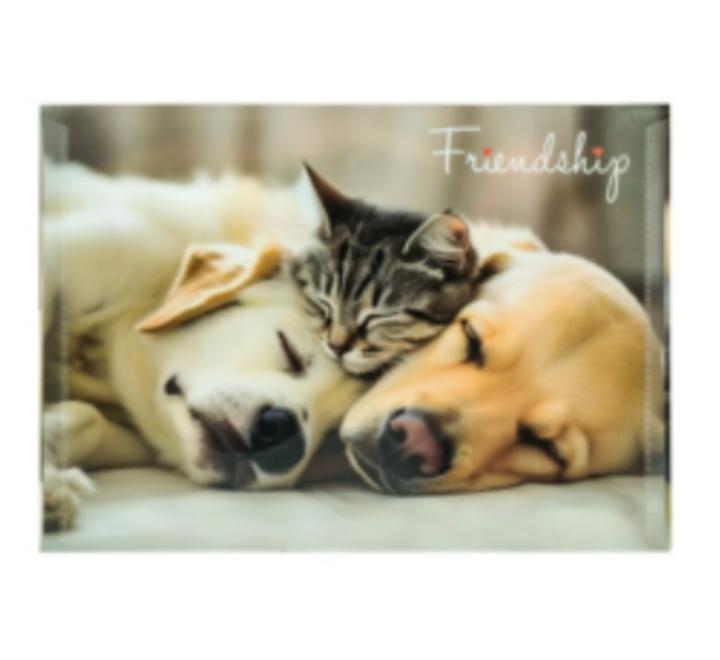 Személyre szabott mappa gombbal A4 PP Friendship