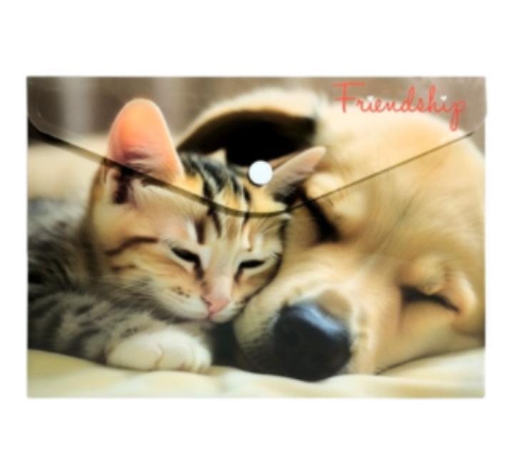 Személyre szabott mappa gombbal A4 PP Friendship