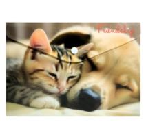 Mapa personalizata cu buton A4 PP Friendship