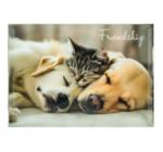 Személyre szabott mappa gombbal A4 PP Friendship