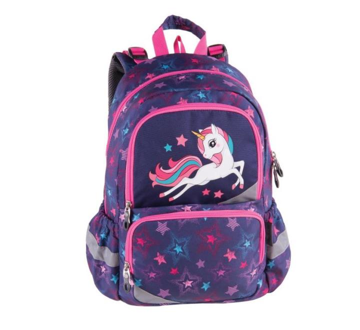 Ghiozdan Pulse Anatomic Pegasus