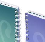 Oxford Project Book szervezőfüzet, A4-es, 80 oldal, 90 g/m²-es optikai papír, kockás, különböző színekben