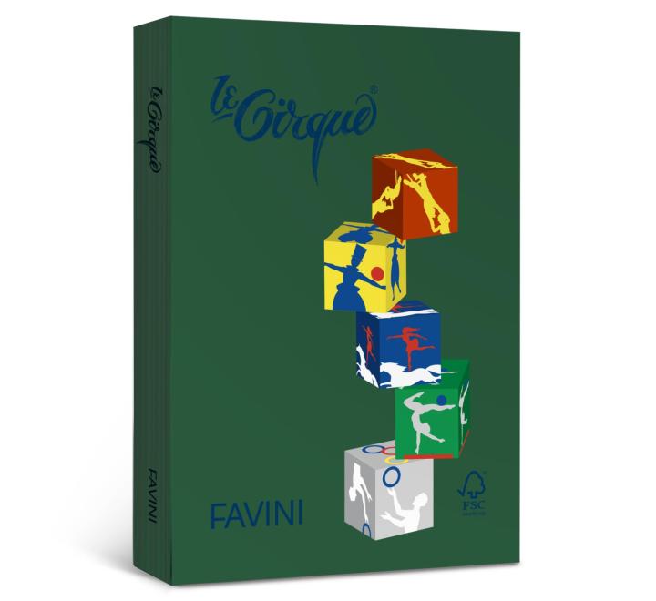 Hartie A4 80g color intens verde christmas