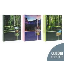 Album foto Fresh 100 poze
