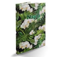 Jurnal B5 pictura
