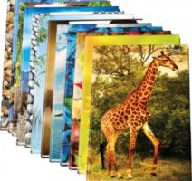 Regiszter füzet A5 96 lap vonalaas