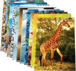 Regiszter füzet A5 96 lap vonalaas