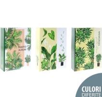 Fényképalbum Green Grass 100 kép