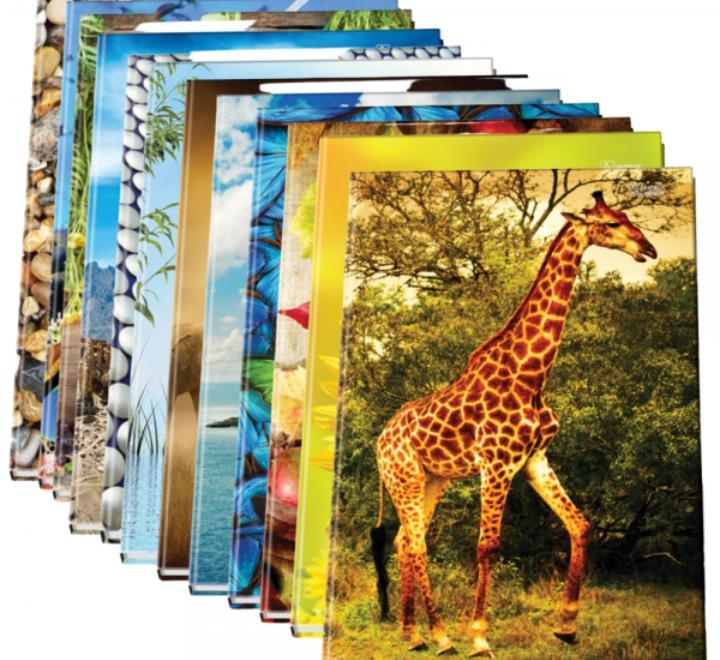 Füzet A4 96 lapos, sima lapú