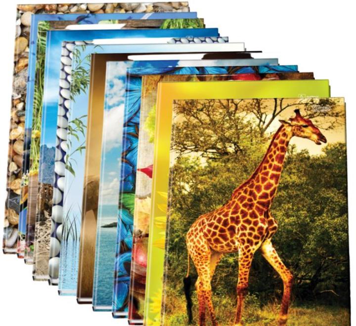 Registru A5 96 file velin