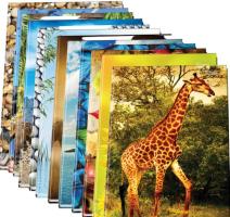 Registru A5 96 file velin