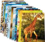 Registru A5 96 file velin