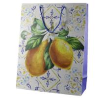 Punga cadou 31x40 cm