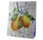 Punga cadou 31x40 cm