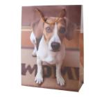 Punga cadou 31x40 cm