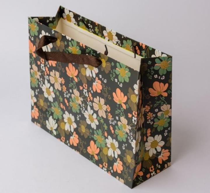 Pungi cadou 25x20x10cm